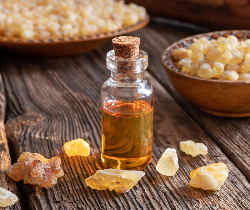 Frankincense Oil - The King of Essential Oils